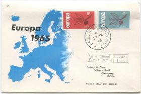 爱尔兰邮票 1965年 欧罗巴 树叶 地图 2全首日封实寄FDC-G-19 DD