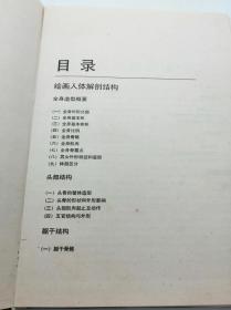 人体姿态与解剖