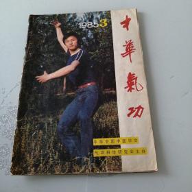 中华气功1985年第3期