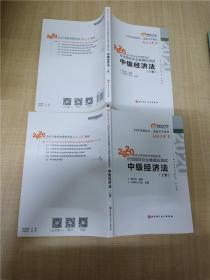 轻松过关1 2020年会计专业技术资格考试应试指导及全真模拟测试 中级经济法