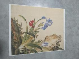 国画郎世宁花鸟花卉斗方 收藏装饰画 宣纸画芯微喷可装裱 折叠发货  高33宽29厘米