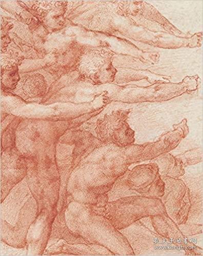 Michelangelo Divine 精装  米开朗基罗 非凡的画家和设计师 英文原版