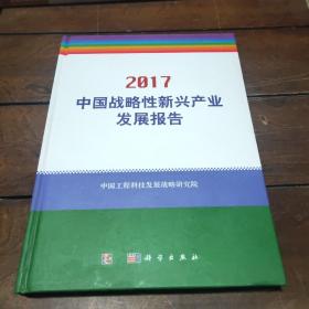 中国战略性新兴产业发展报告2017