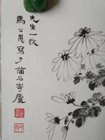 著名书画家马公愚先生国画精品《人淡如菊◆墨菊图》