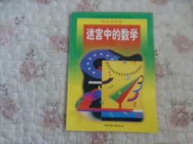 迷宮中的數(shù)學(xué)