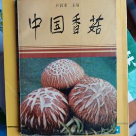 中国香菇