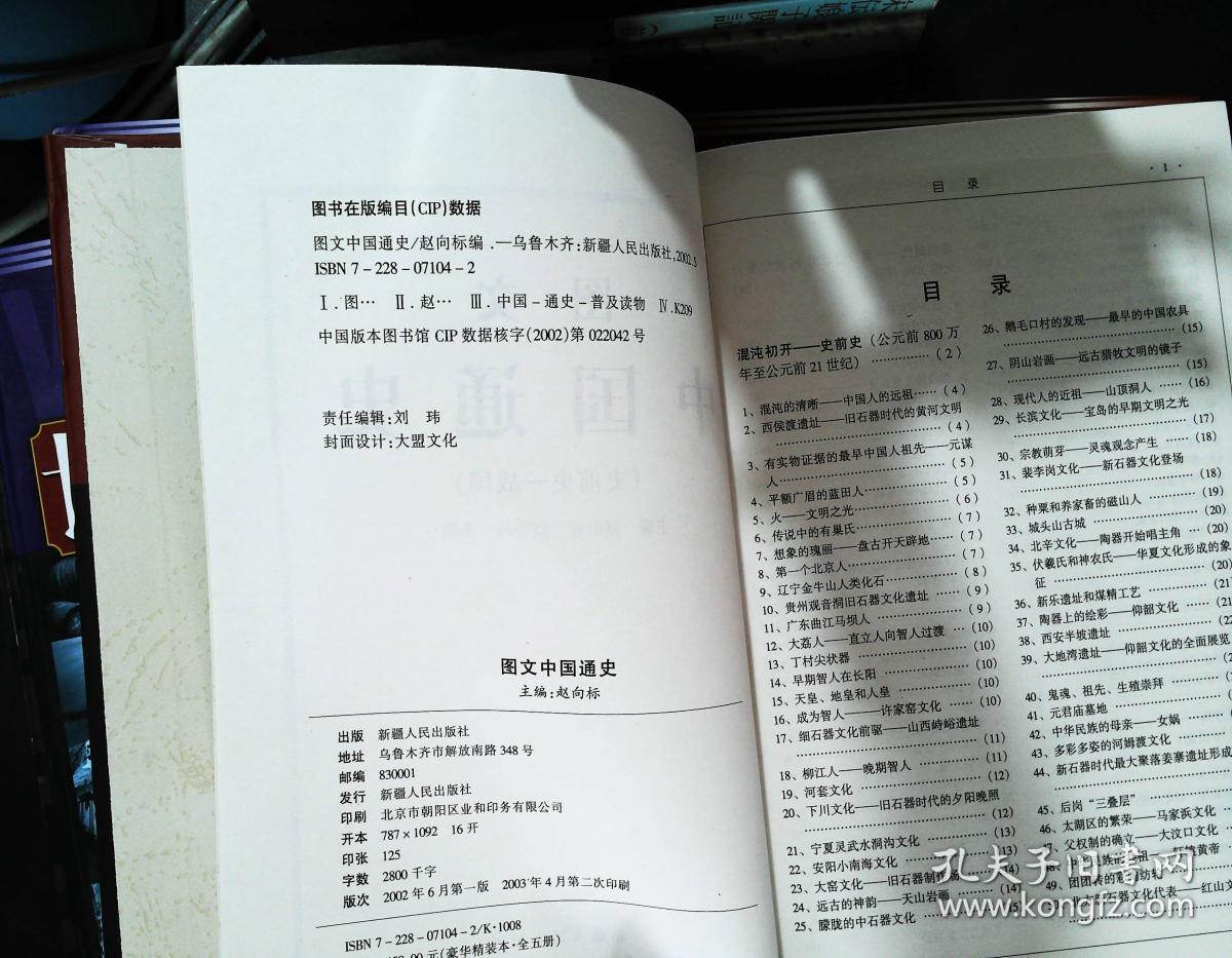 图文中国通史（全五册）+图文世界通史（全五册） 10本合售