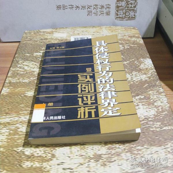 具体侵权行为的法律界定暨实例评析（全三册）