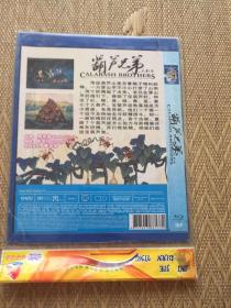 葫芦兄弟DVD 动画片