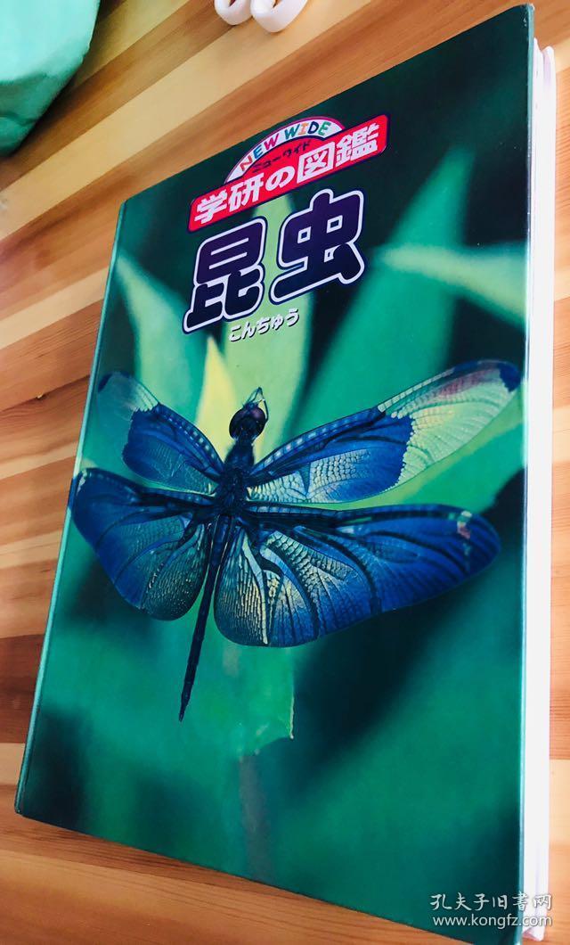 日语原版学研的图鑑《昆虫》