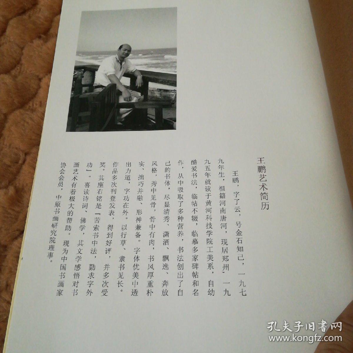 王鹏书法作品集