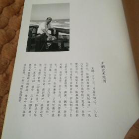 王鹏书法作品集