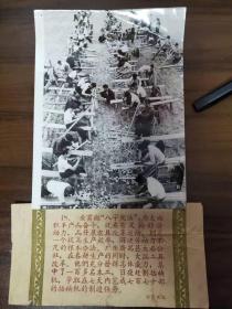 贯彻“八字宪法”广东番禺县大石公社大搞工具改革，100多名木工赶制插秧机。