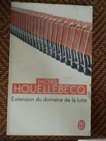 MICHEL HOUELLEBECQ