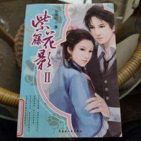 紫藤花影
