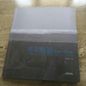 并非逍遥 ：肖瑶宁作品集