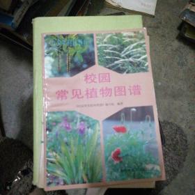 校园常见植物图谱