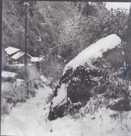 1983底片两张～九华山雪景山道