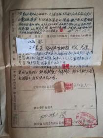 1955年1959年不同的入团申请书2份