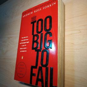 Too Big to Fail：The Inside Story of How Wall Street and Washington Fought to Save the FinancialSystem--and Themselves