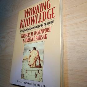 Working Knowledge 工作的知识