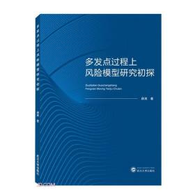 多发点过程上风险模型研究初探