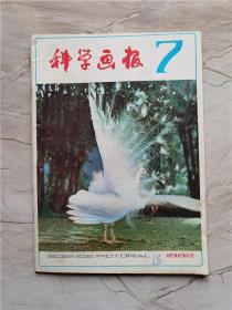 科学画报1982年第7期