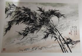 劲竹迎风（申石伽）保真