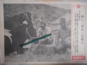 1941年侵华日军拍摄的，中原会战河南济源封门口，日军马匹受伤，佐佐木部队士兵喂马吃草