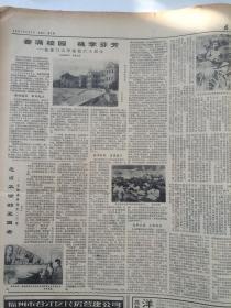 福建日报1981年4月合订本