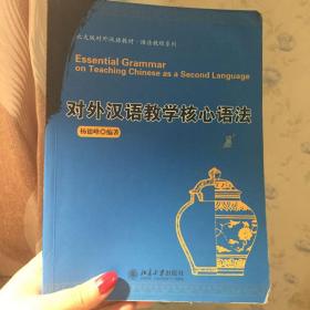 北大版对外汉语教材·语法教程系列：对外汉语教学核心语法
