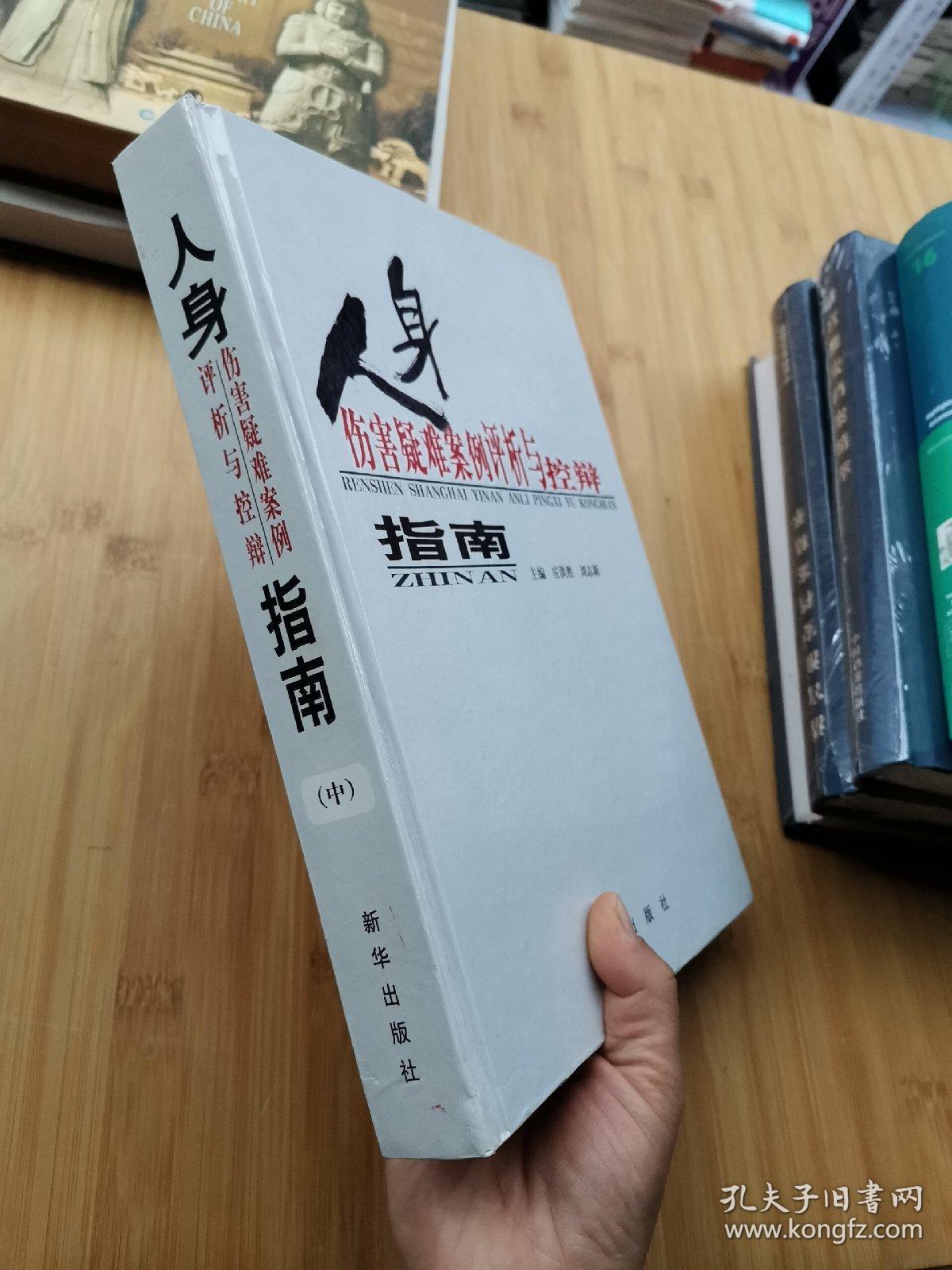 人身伤害疑难案例评析与控辩指南<中册>