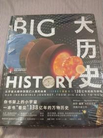 DK大历史：从宇宙大爆炸到我们人类的未来，138亿年的非凡旅程