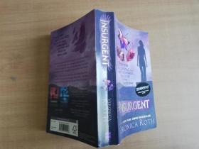 Insurgent (Divergent Trilogy #2)分歧者2：叛乱者 英文原版【实物拍图 品相自鉴】