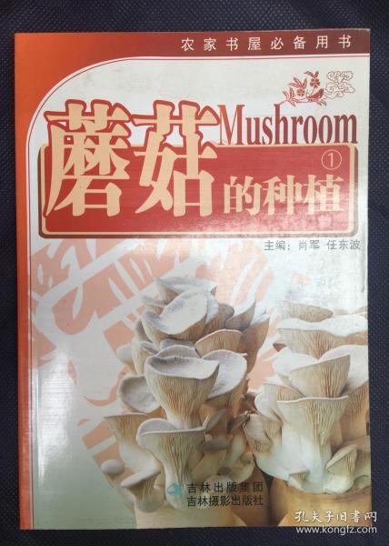 蘑菇的种植