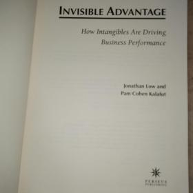 INVISIBLE ADVANTAGE 无形优势 HOW intangibles are driving bussiness performance 无形资产是如何推动企业绩效的 英文原版 英文版书籍