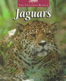 Jaguars (The Untamed World)