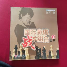 国际象棋战术组合集萃（下）