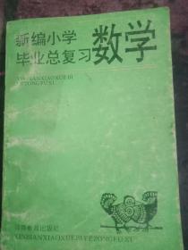 新编小学数学毕业总复习