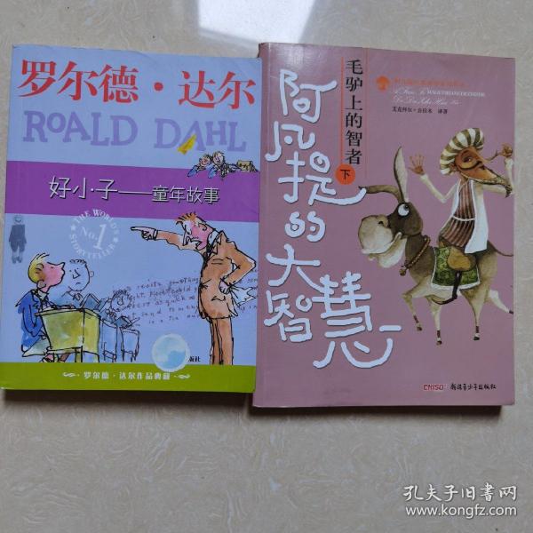 好小子-童年故事：罗尔德·达尔作品典藏