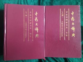 中药大辞典（上下册）
——首届中国辞书类一等奖图书