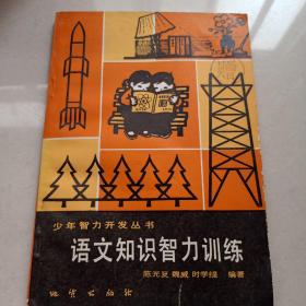 语文知识智力训练（少年智力开发丛书）