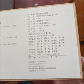 典藏精品连环画 敌后武工队 中册