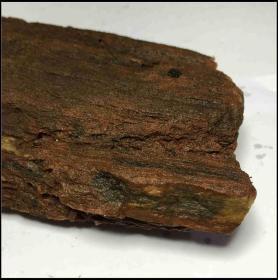 ❤ YS40 树化石又称木化石、硅化木