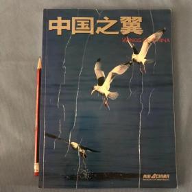 中国之翼 2004年第2期