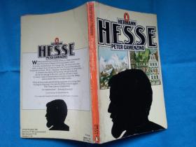 Peter Camenzind (by Hermann Hesse) 赫尔曼·黑塞 名著《彼得·卡门青》英文版