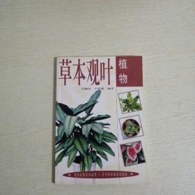室內(nèi)名貴花卉叢書--草本觀葉植物