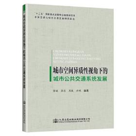 城市空间异质性视角下的城市公共交通系统发展/