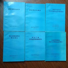 湛江湾规划研究【1-5】+湛江湾规划研究报告