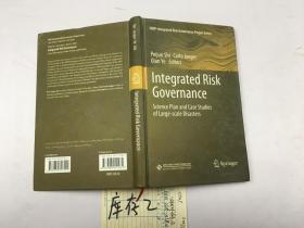 integrated risk governance